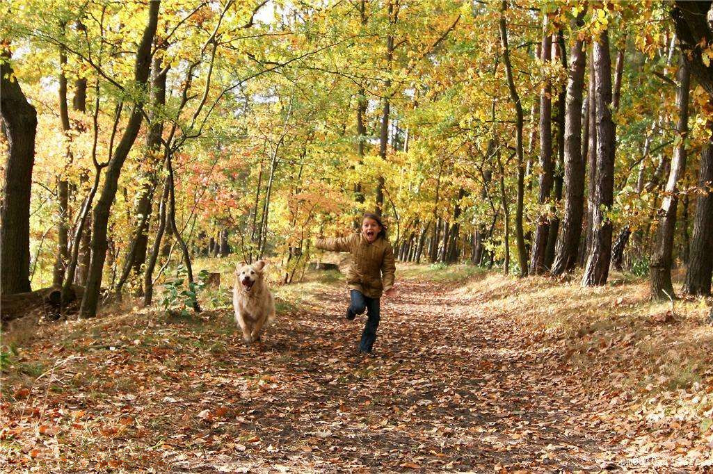 為什么秋季裝修異味這么重？甲醛超標怎么辦