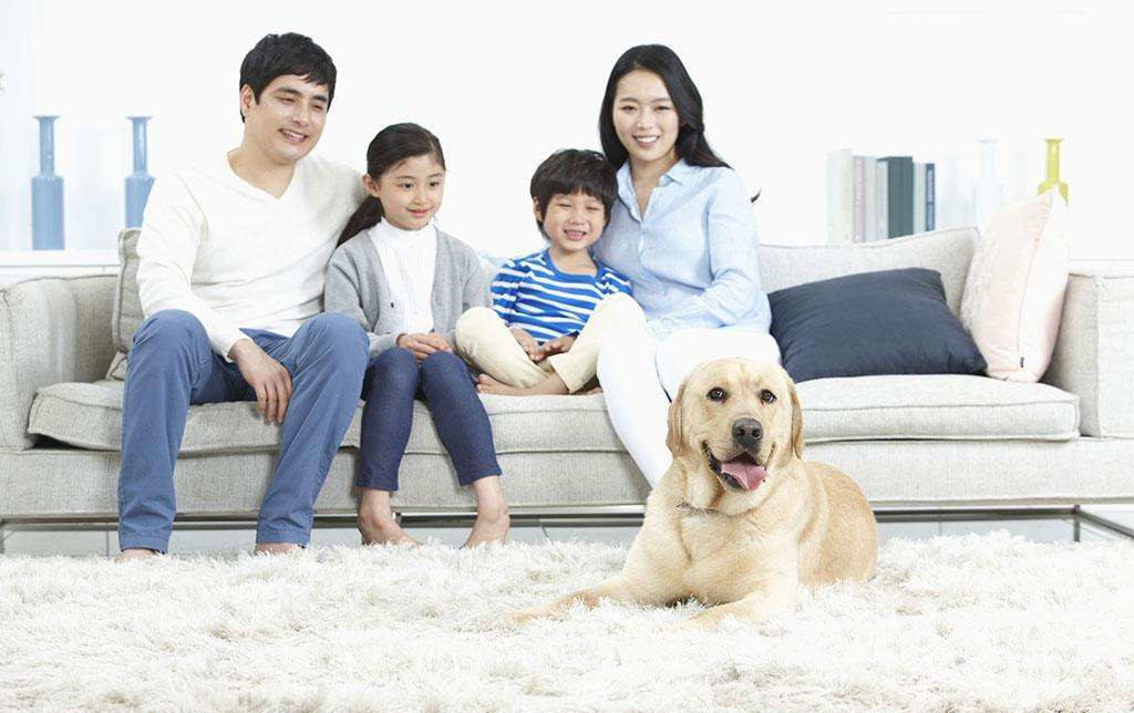 家里甲醛超標怎么辦，受污染影響的人群有哪些