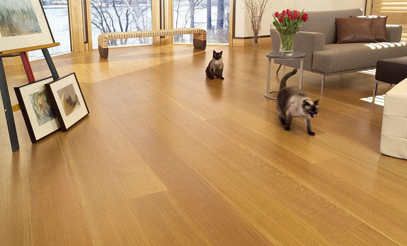 換新地板的房間全部甲醛超標(biāo)嚴(yán)重，地板甲醛超標(biāo)怎么辦？