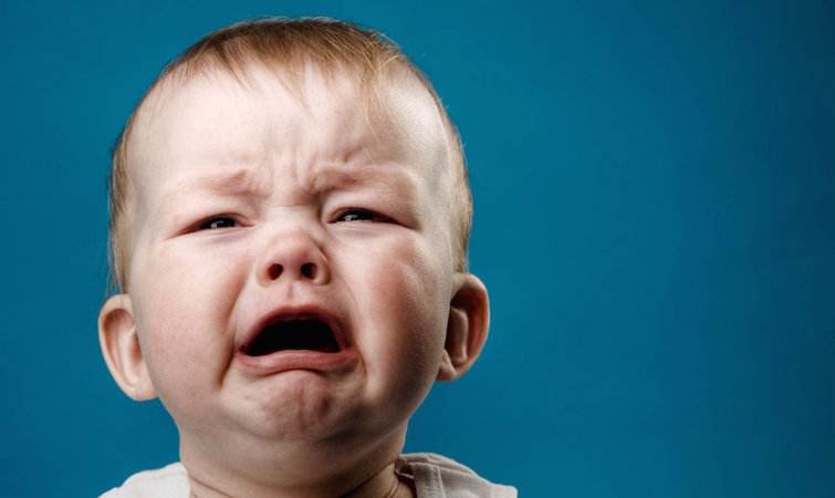 再也不用擔心被假“除甲醛公司”坑了，三張圖教您如何辨別真假除甲醛公司！