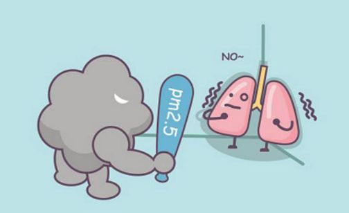 細(xì)顆粒物比甲醛對(duì)人體健康的危害要更大 細(xì)顆粒物比甲醛對(duì)人體健康的危害要更大