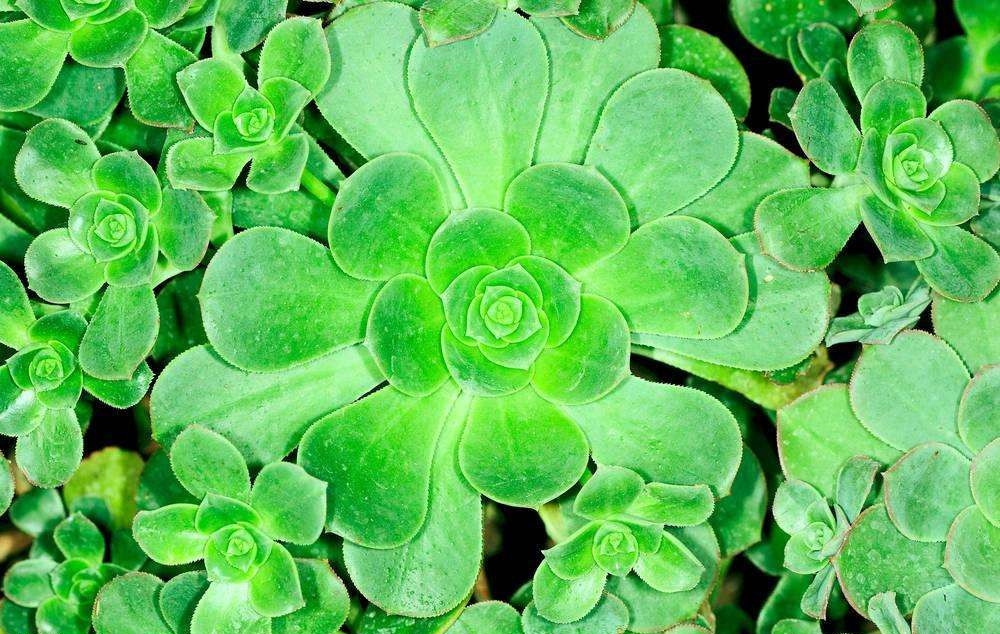 這樣去甲醛，您將親手“毀掉”自己的室內(nèi)空氣環(huán)境，今天再忙也要看一下！