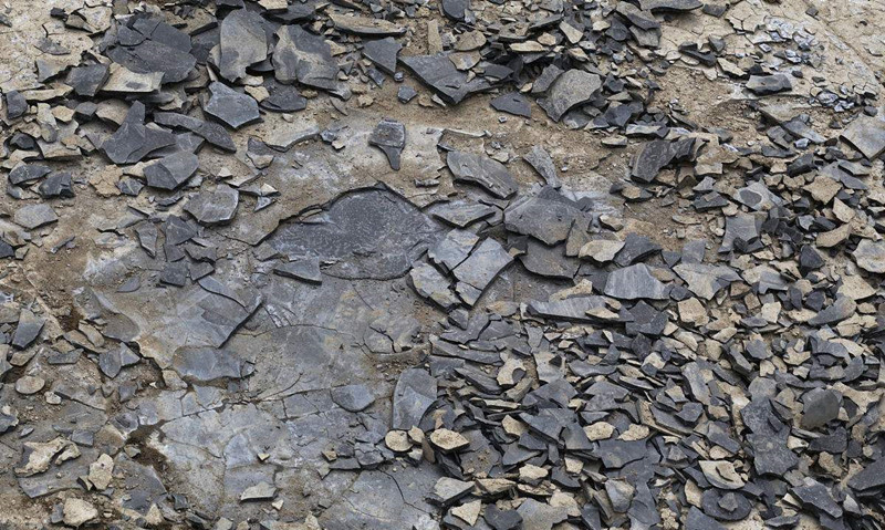 現(xiàn)代人生活節(jié)奏過快，卻導(dǎo)致環(huán)境空氣污染越來越嚴(yán)重