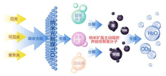 洋蔥可以除甲醛？民間流傳土方法可信嗎？