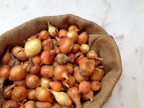 那些年，令我們哭笑不得的除甲醛經(jīng)歷……