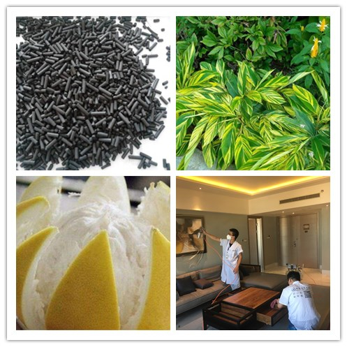 新房除甲醛，您一定不會失手！