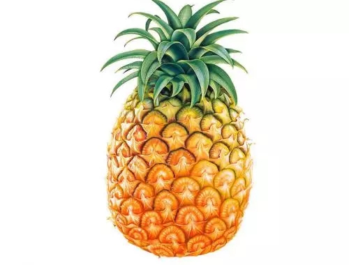 通風(fēng)半年甲醛仍超標(biāo)？甲醛治理要注意