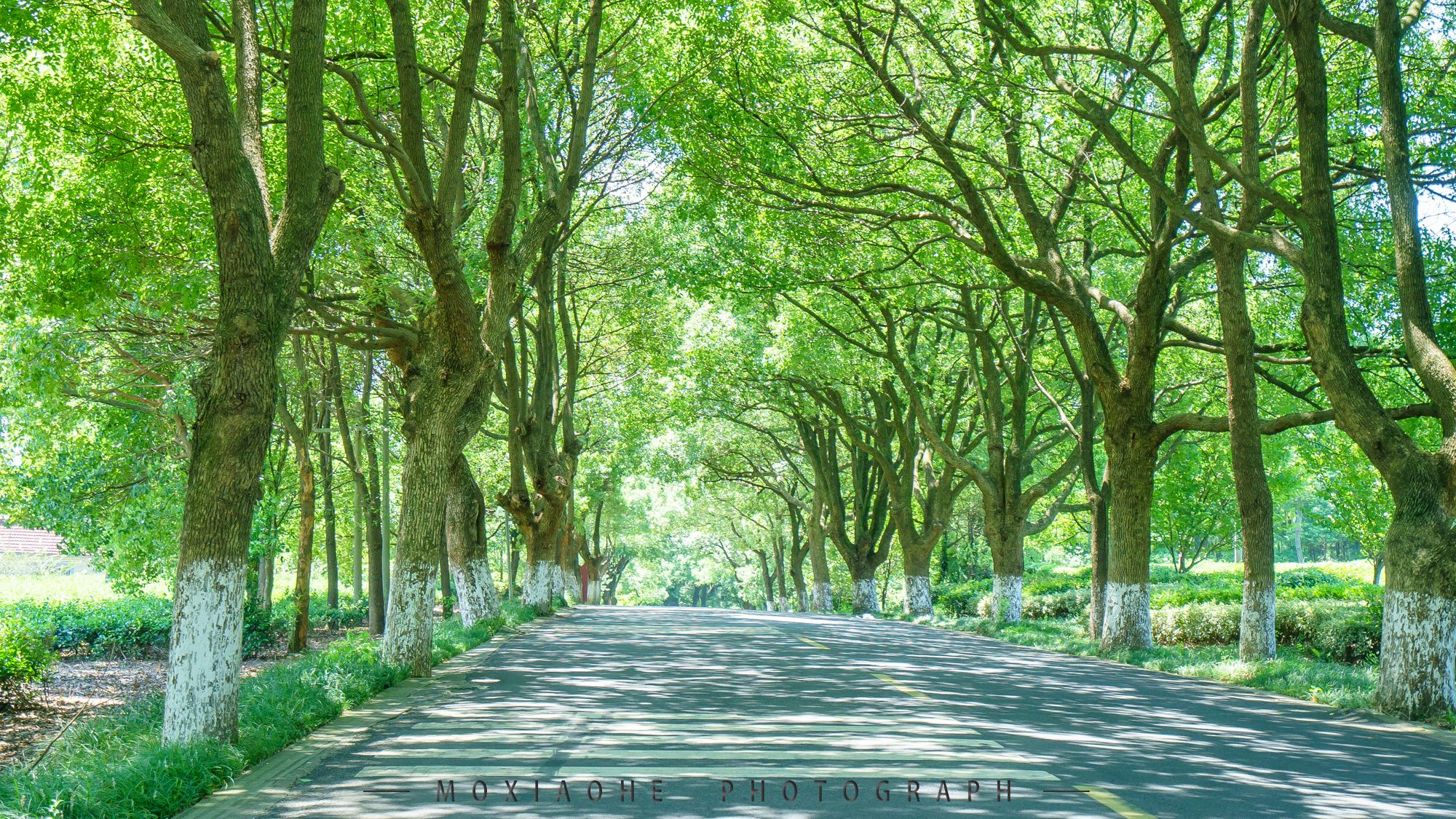 #助力高考# 保存好你的高考準(zhǔn)考證，創(chuàng)綠家送您安“醛”一夏！