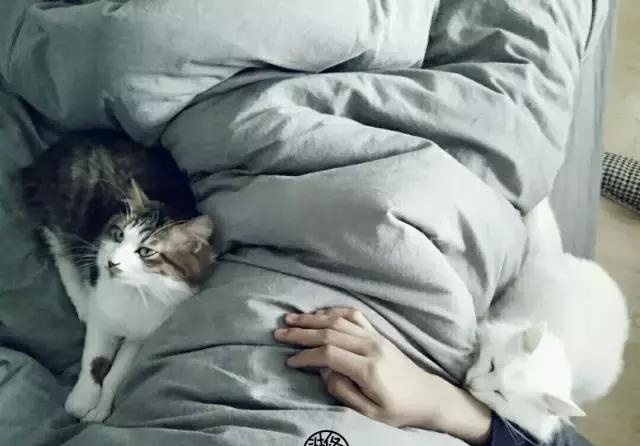 21天3000元重裝出租屋 除甲醛莫忘記！