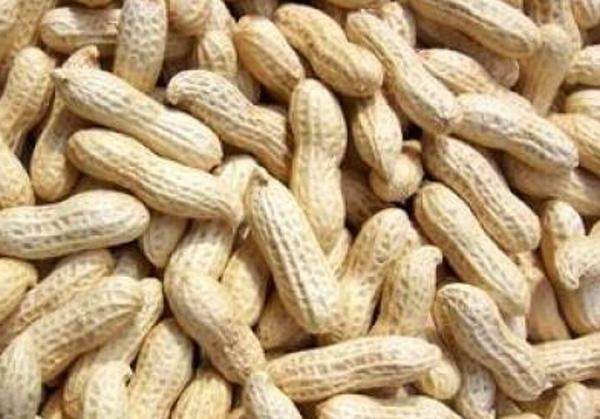 水煮花生含甲醛？實(shí)測(cè)多家燒烤店結(jié)果太可怕！