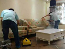 除甲醛公司需要具備哪些實力？