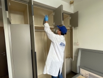 偏方真的能除甲醛嗎？