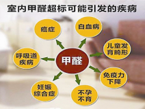 室內(nèi)除甲醛是什么？專業(yè)除甲醛是什么樣的