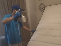 甲醛治理什么方法好？