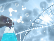 除甲醛需要注意什么？