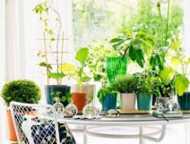 甲醛治理看的見，你的健康我來保護(hù)