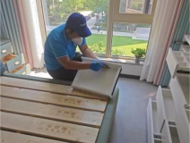 如何有效地除甲醛？