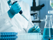 綠植真的能除甲醛嗎？