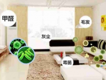 網(wǎng)上的除甲醛好辦法真的有效嗎？原理是什么