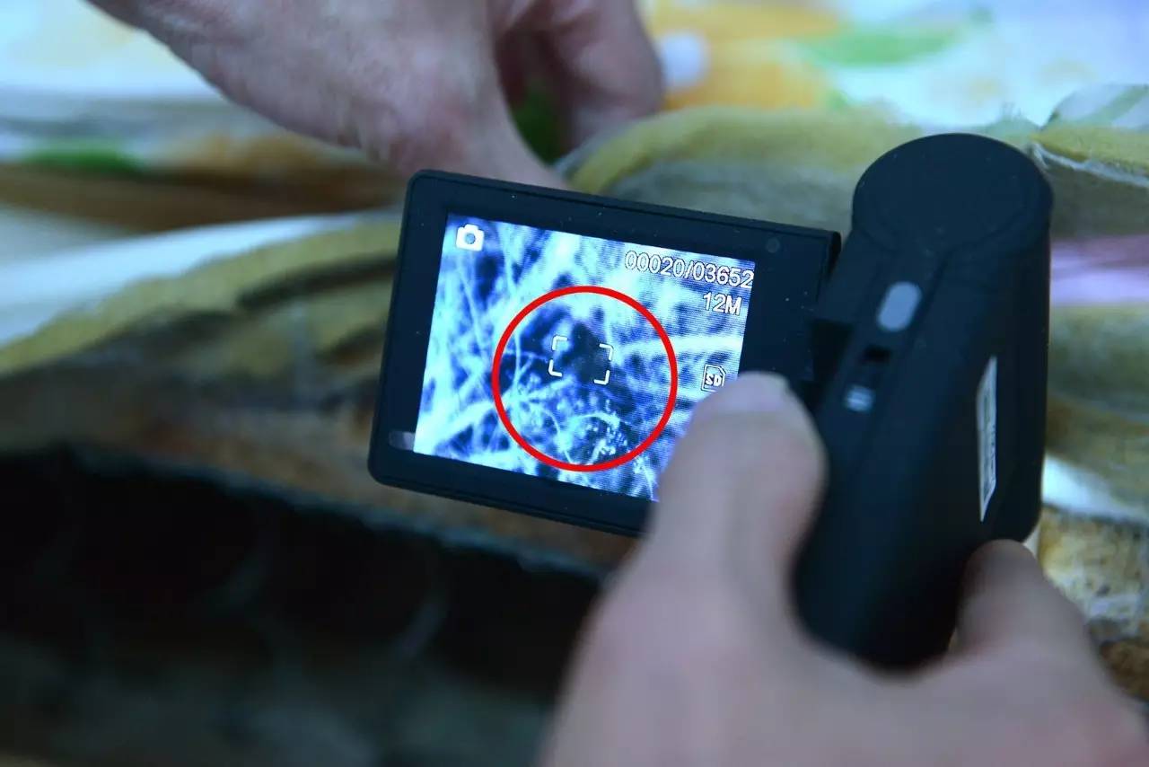 南京美女睡了10年的床墊，掀開后把全家人都嚇傻了……