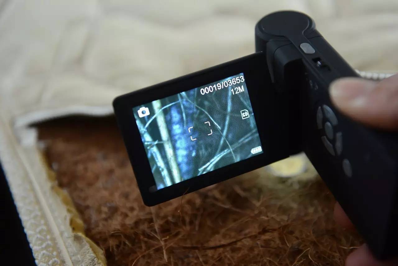 南京美女睡了10年的床墊，掀開后把全家人都嚇傻了……